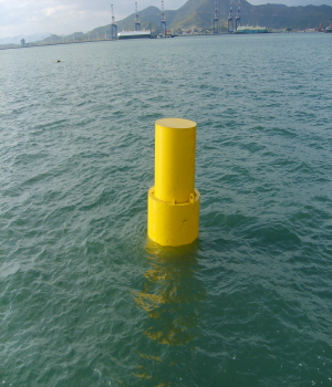 Buoy