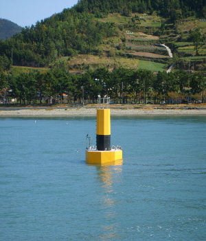 Standing Beacon