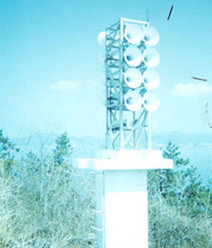 Electronic horn