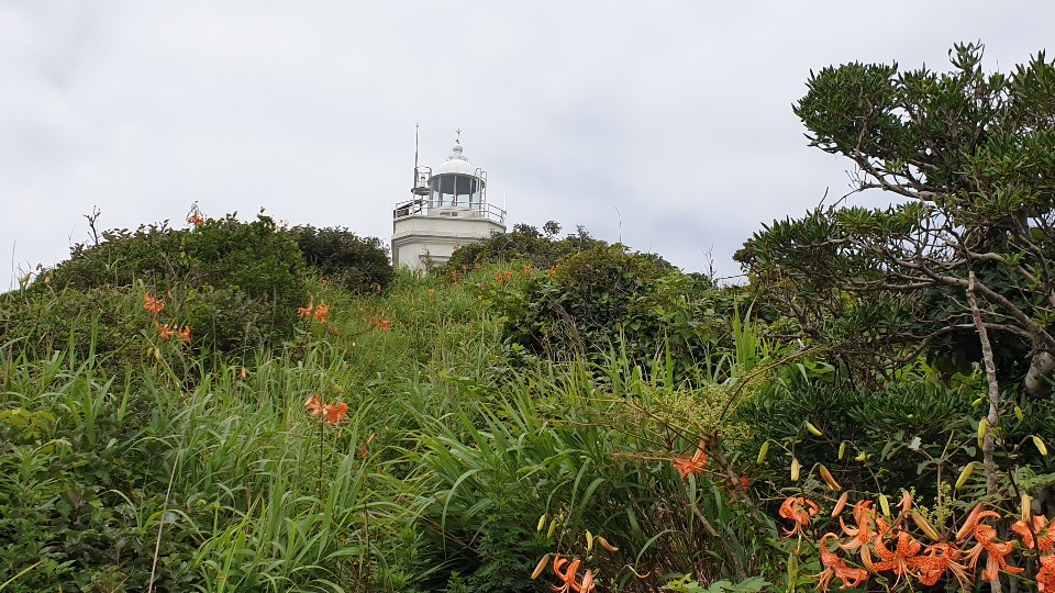 오동도등대이미지